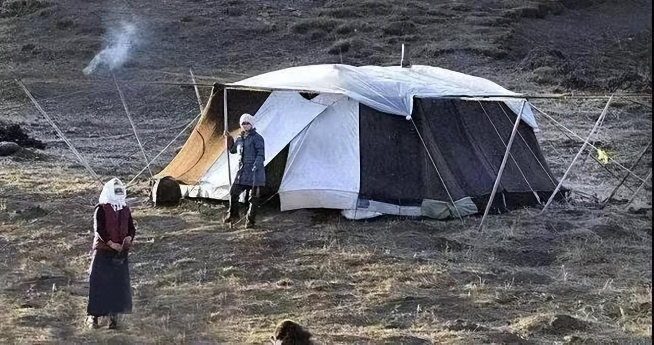 去西藏旅游，路边白色的帐篷可以随便进吗？导游：进容易，想出难
