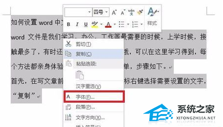 Word软件中如何切换中文字体和西班牙字体