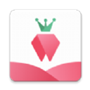 树莓阅读app下载客户端v7.3.339.70（一款拥有着海量小说资源的手机追书软件）